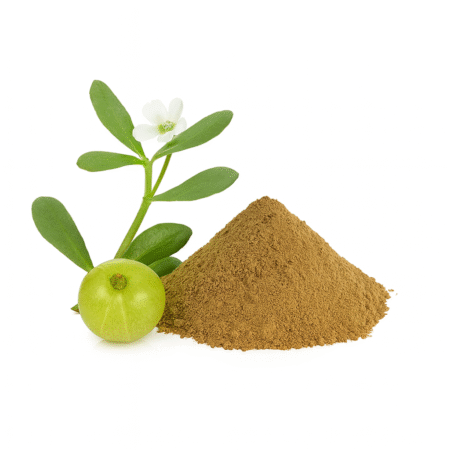 【インド直輸入】ブラフミ パウダー 50g | 脳の栄養・集中力アップの知恵のハーブ - Ayurkai