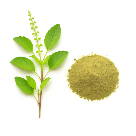 トゥルシー パウダー (Tulsi Powder – 50g)