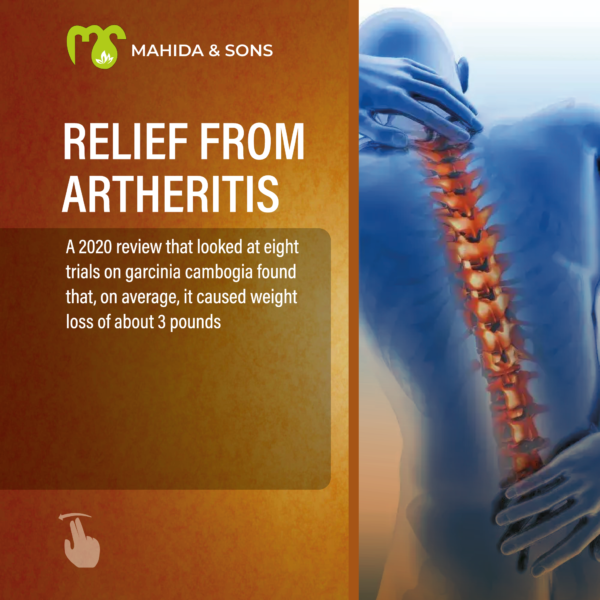 【インド直輸入】カロンジオイル | ブラックシードオイル 免疫・美容・健康サポート 天然オイル - Ayurkai