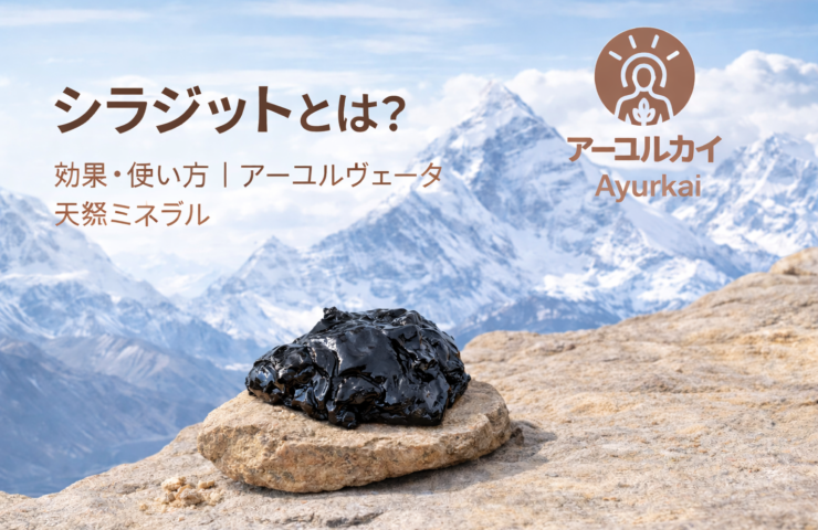 Shilajit benefits for boosting energy stamina strength and overall vitality in Ayurvedic wellness practices